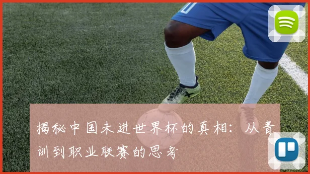 揭秘中国未进世界杯的真相：从青训到职业联赛的思考