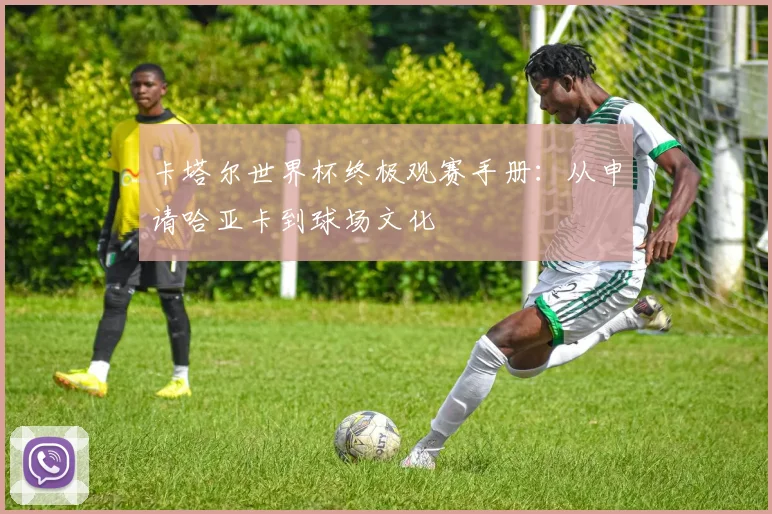 卡塔尔世界杯终极观赛手册：从申请哈亚卡到球场文化