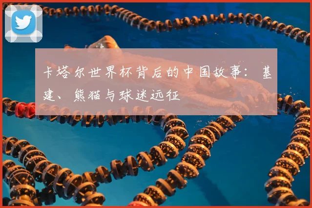 卡塔尔世界杯背后的中国故事：基建、熊猫与球迷远征