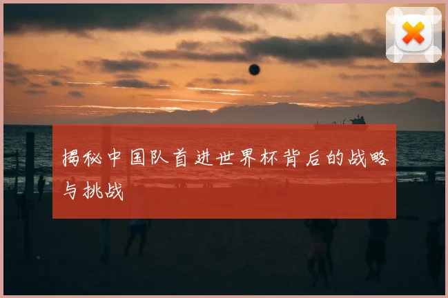 揭秘中国队首进世界杯背后的战略与挑战