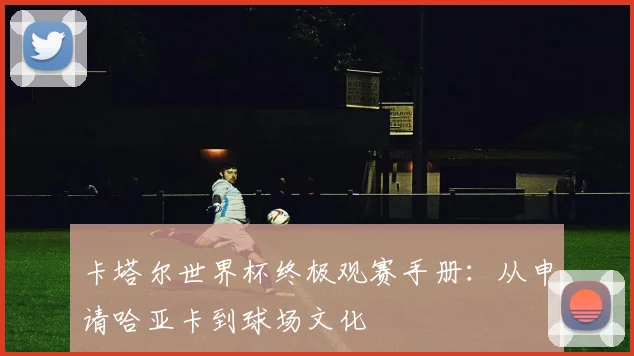 卡塔尔世界杯终极观赛手册：从申请哈亚卡到球场文化