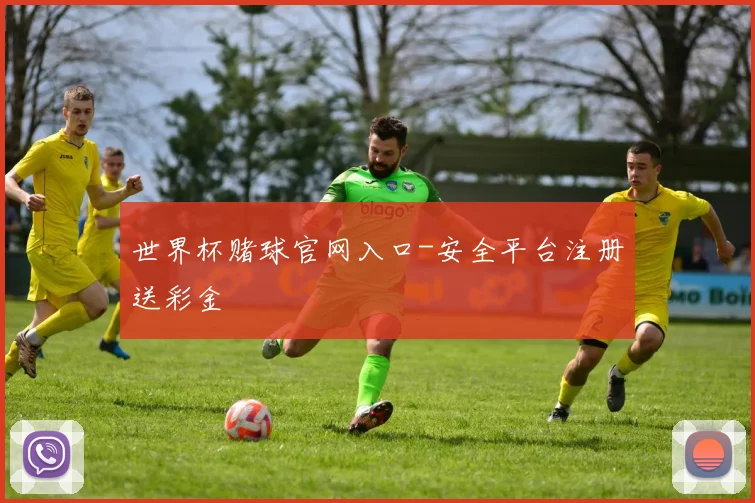 世界杯赌球官网入口-安全平台注册送彩金