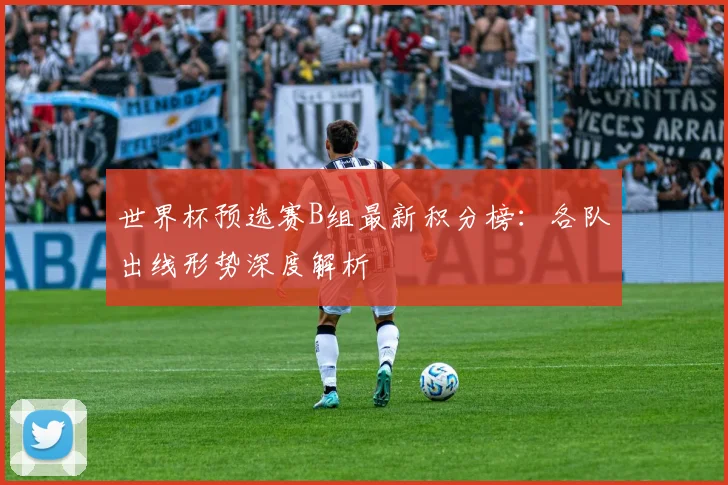 世界杯预选赛B组最新积分榜：各队出线形势深度解析