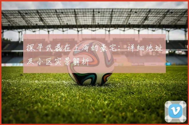 探寻武磊在上海的豪宅:详细地址及小区实景解析