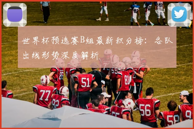 世界杯预选赛B组最新积分榜：各队出线形势深度解析